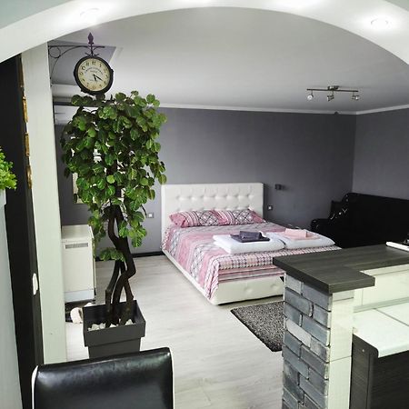 Savic Apartment Center - Parking Free Ниш Екстер'єр фото