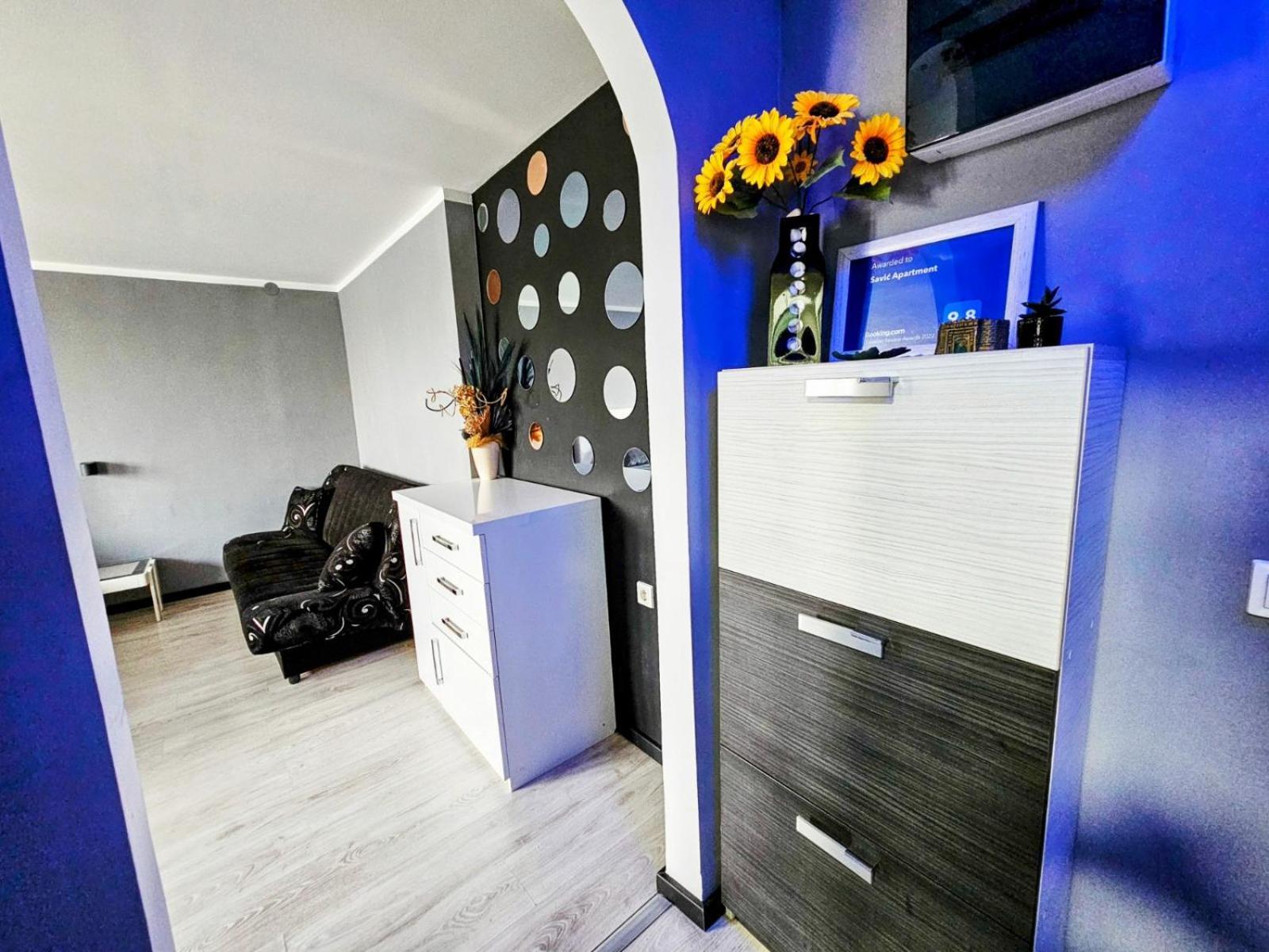 Savic Apartment Center - Parking Free Ниш Екстер'єр фото